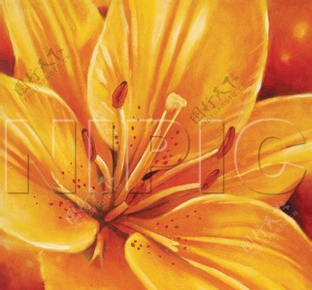 花卉油画10550厘米X50厘米