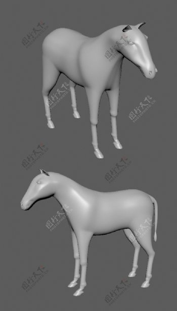 精致马驹maya3d模型