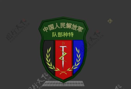 3D军徽特种部队肩章