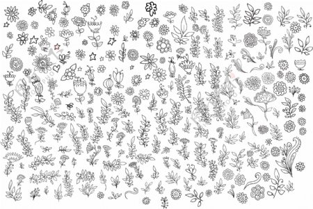 数百个矢量白描小花植物总汇