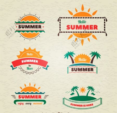 夏天图标卡通椰子树太阳