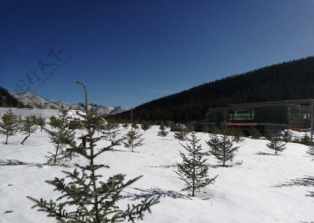 白龙雪山
