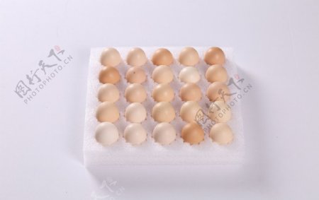 鸡蛋泡沫鸡蛋模型