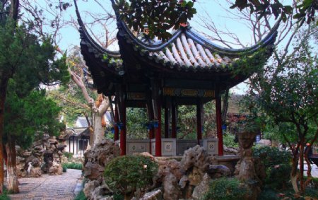 南京总统府西花园