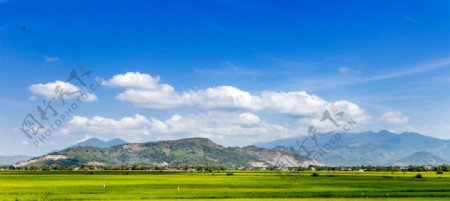 越南美丽的田野景色