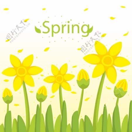春季黄色花丛和花瓣矢量素材