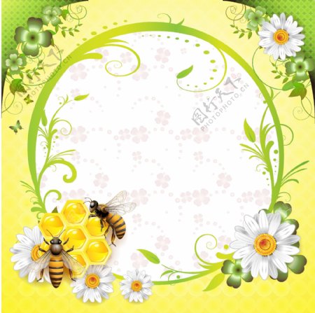 明亮朝气的蜜蜂采蜜画框
