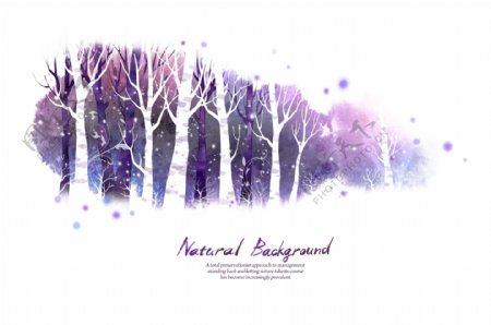紫色手绘冬日白桦林