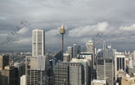 悉尼CBD商圈建筑群
