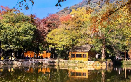 天平山红枫