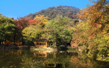 天平山红枫