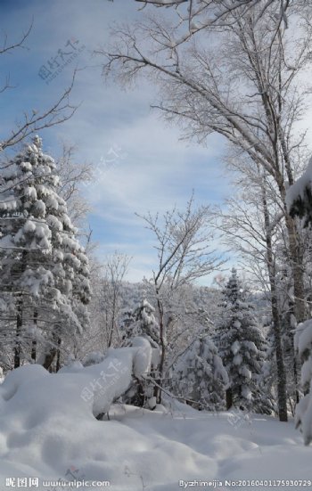 雪乡风景