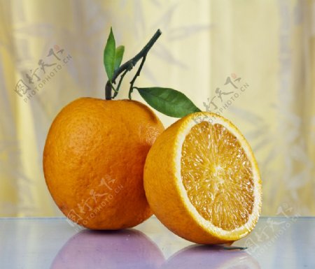 橙子广柑橘子