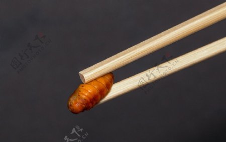 筷子夹着一只蚕蛹