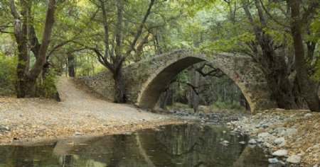 森林中的石拱桥