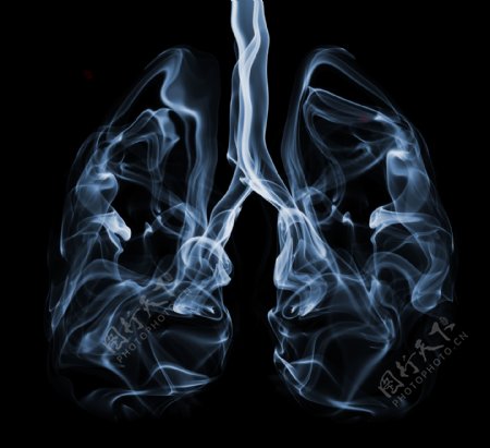 肺部造型高清