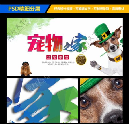 宠物之家宣传海报设计