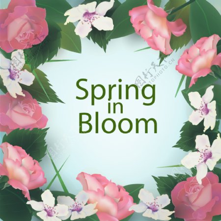 春季花卉海报背景