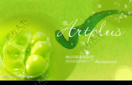 绿色水彩豌豆