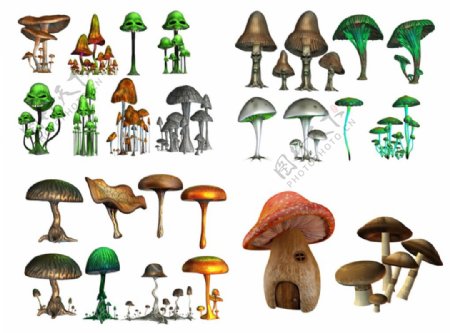 3D蘑菇素材