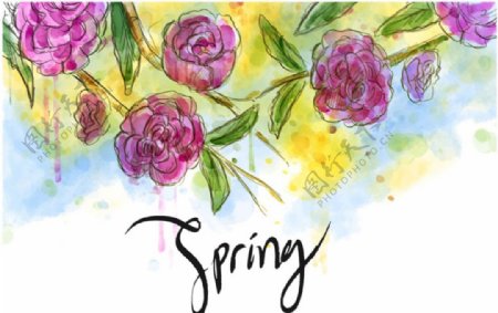 手绘水彩春季花卉背景