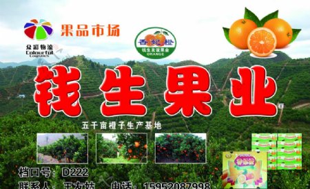 水果橙子种植基地背景海报