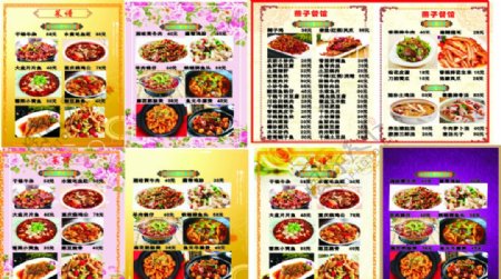 中国风菜谱2010