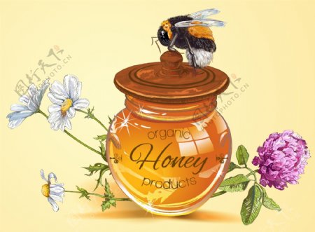 手绘一瓶蜂蜜矢量背景素材