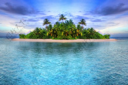 椰树海岛风景图片
