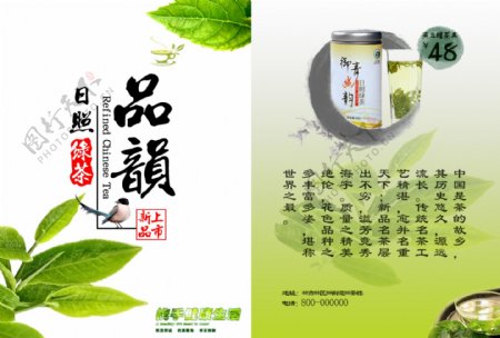 绿茶宣传海报设计