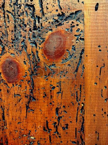 木材纹理棕色木方木表