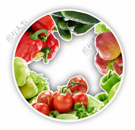 圆圈内的蔬菜图片