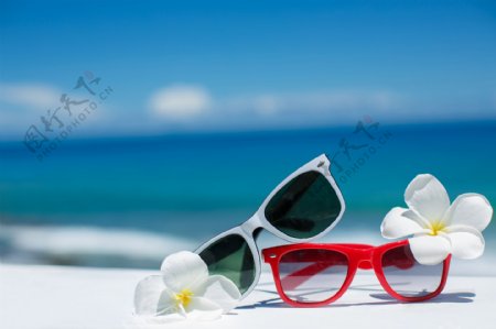 海边的白色花朵和眼镜图片