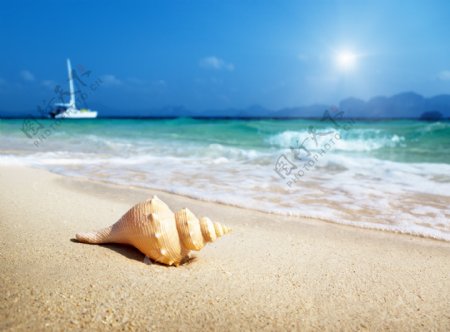 夏日沙滩风景图片