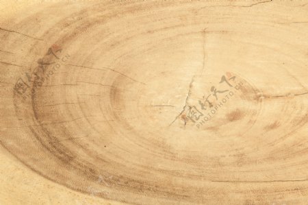 圆环木纹背景图