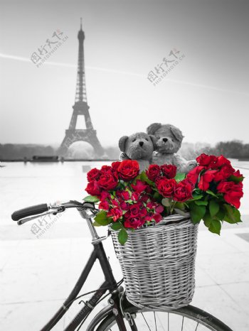 黑白彩色照片埃菲尔铁塔自行车玫瑰花