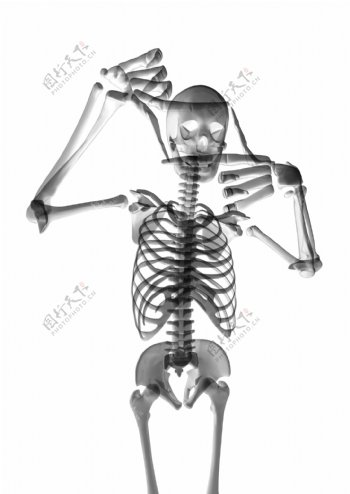 人体骨架运动系列高清