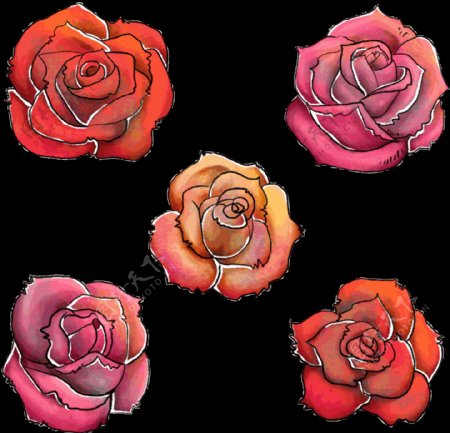 红色玫瑰花插画免抠png透明图层素材