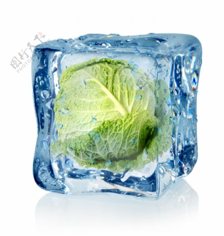 冰冻的白菜图片