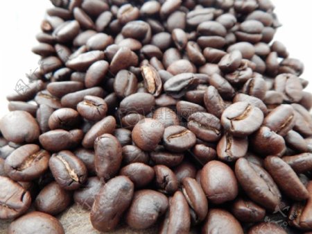 熟悉的咖啡豆