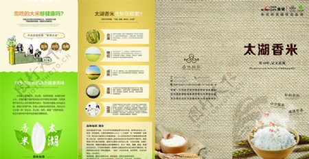 大米产品折页设计