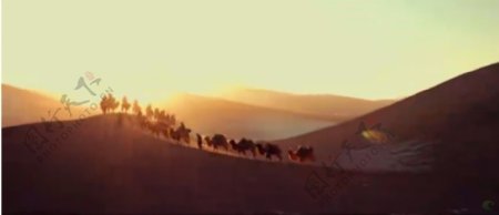 震撼壮观太阳光芒四射光晕沙漠骆驼商队高清实拍