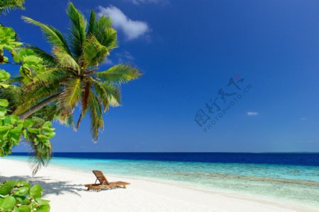 沙滩椰树海边风景图片