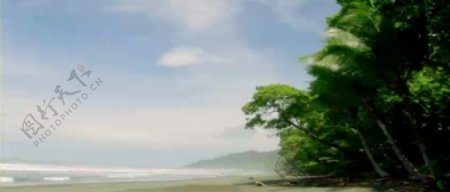 蓝天椰树海滩海岸风光高清实拍视频素材