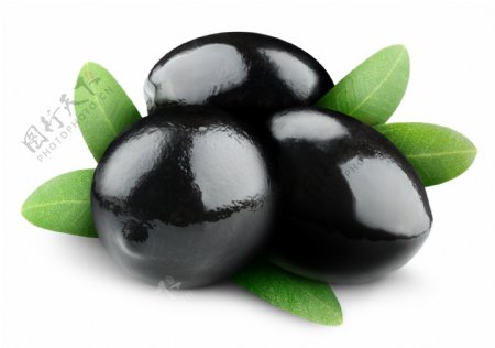 黑橄榄果图片