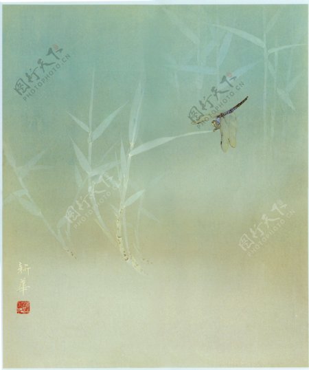 蜻蜓国画图片