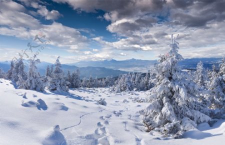 美丽雪地风景图片
