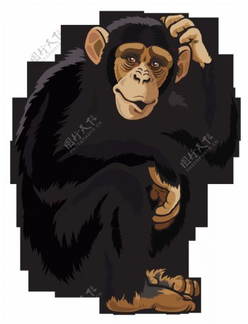 手绘黑色大猩猩免抠png透明图层素材