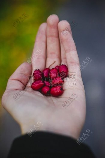 手臂手水果手掌手指红色水果