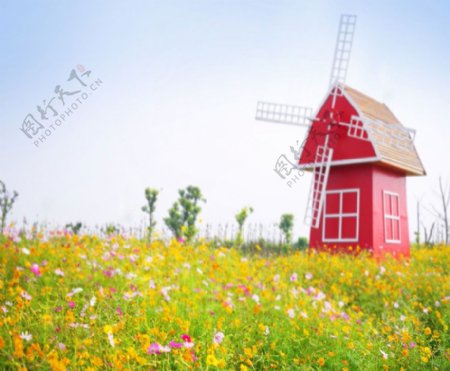 鲜花草地与风车屋影楼摄影背景图片